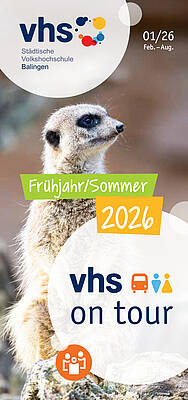 Titel Flyer vhs on tour